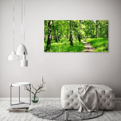 Print on acrylic Birch forest