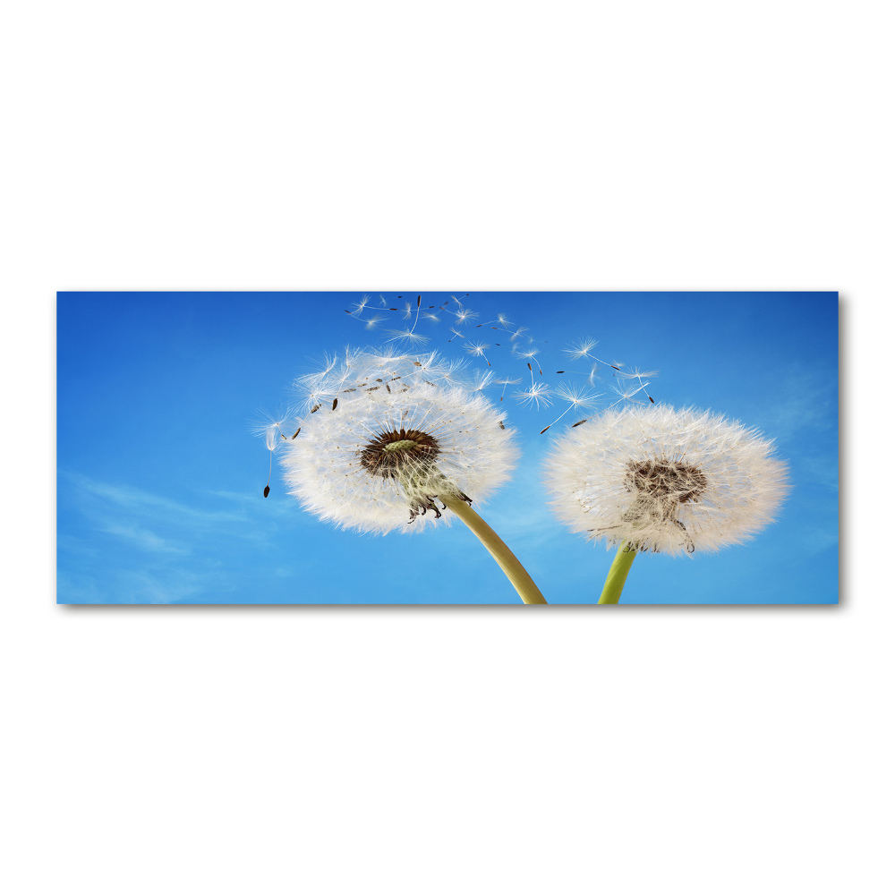 Wall art acrylic dandelions