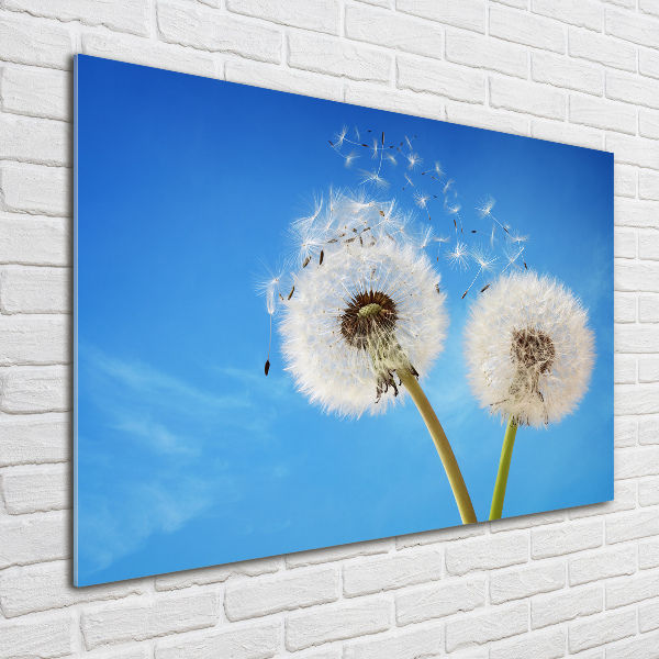 Wall art acrylic dandelions