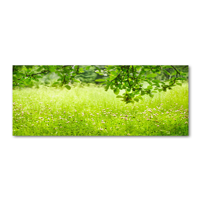 Print on acrylic Green meadow