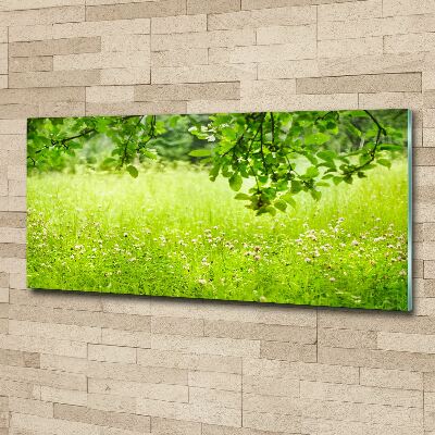 Print on acrylic Green meadow