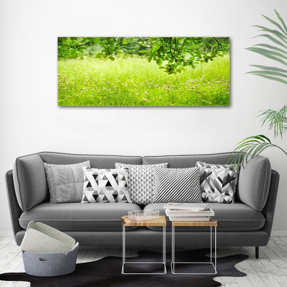 Print on acrylic Green meadow