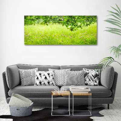 Print on acrylic Green meadow