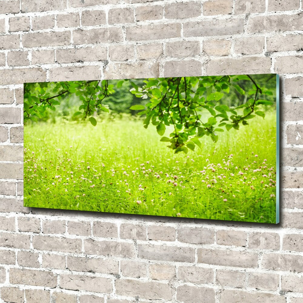 Print on acrylic Green meadow