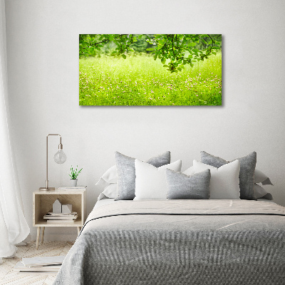 Print on acrylic Green meadow