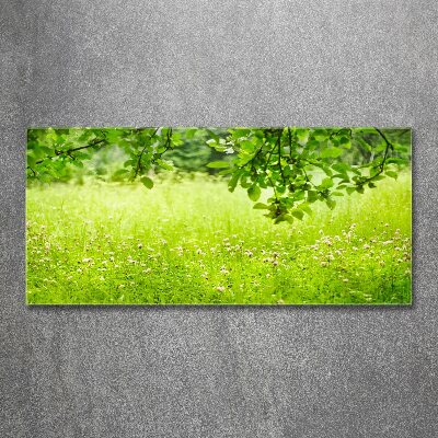 Print on acrylic Green meadow