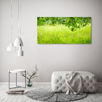 Print on acrylic Green meadow