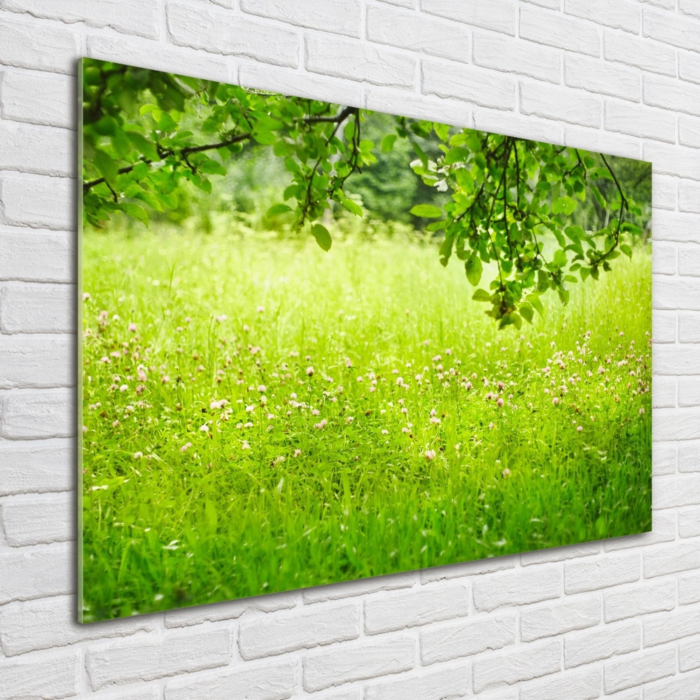 Print on acrylic Green meadow