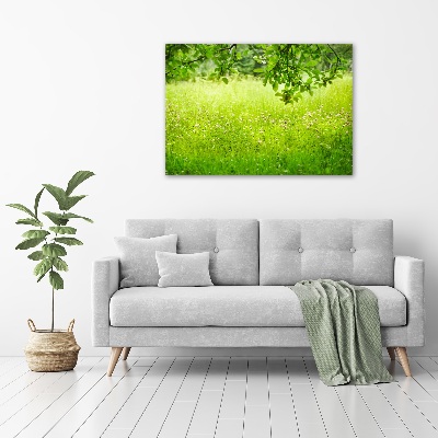 Print on acrylic Green meadow