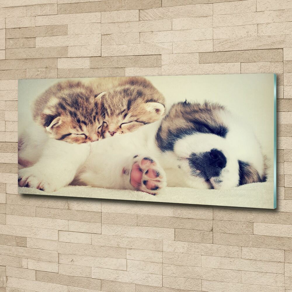 Acrylic print Two cats and a dog