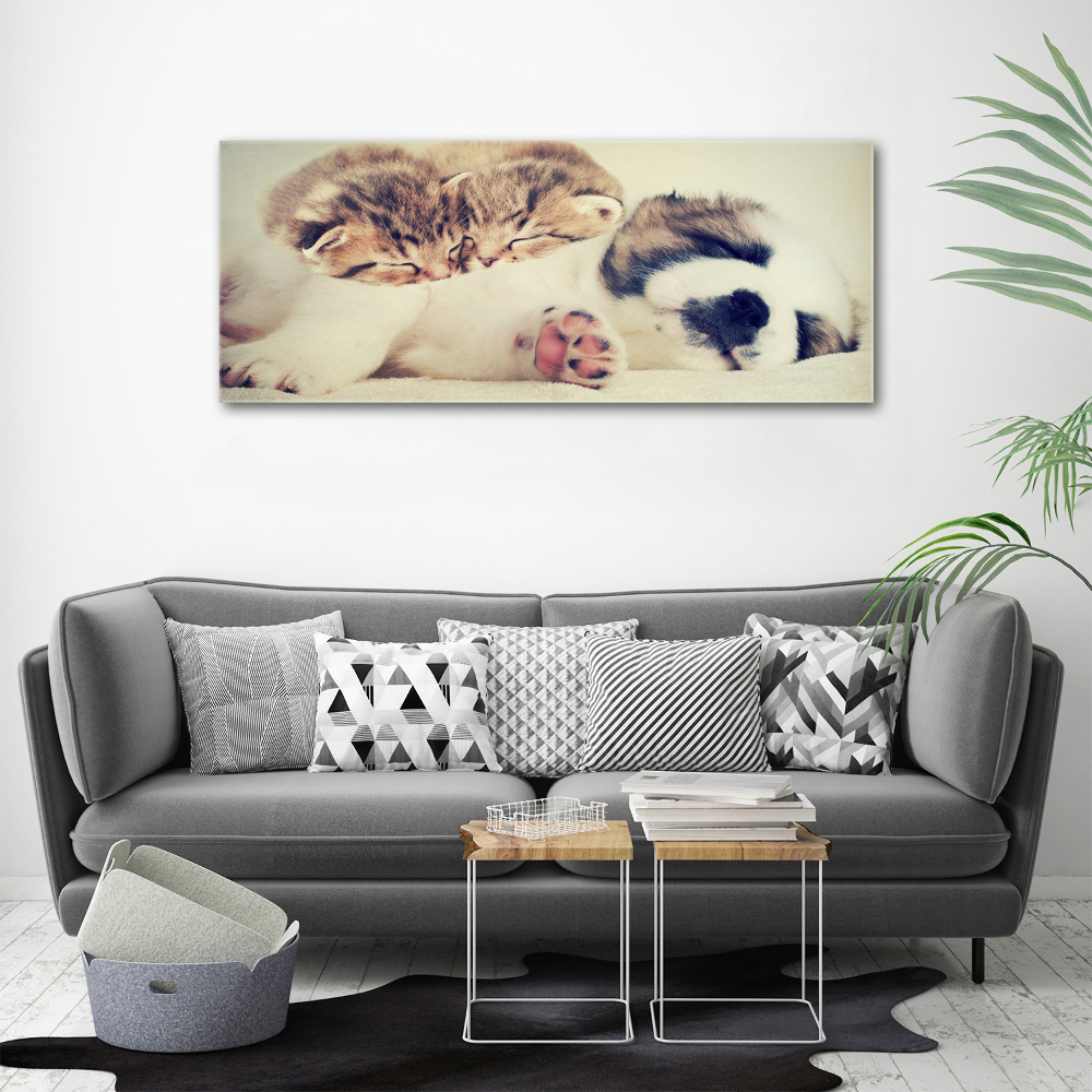 Acrylic print Two cats and a dog