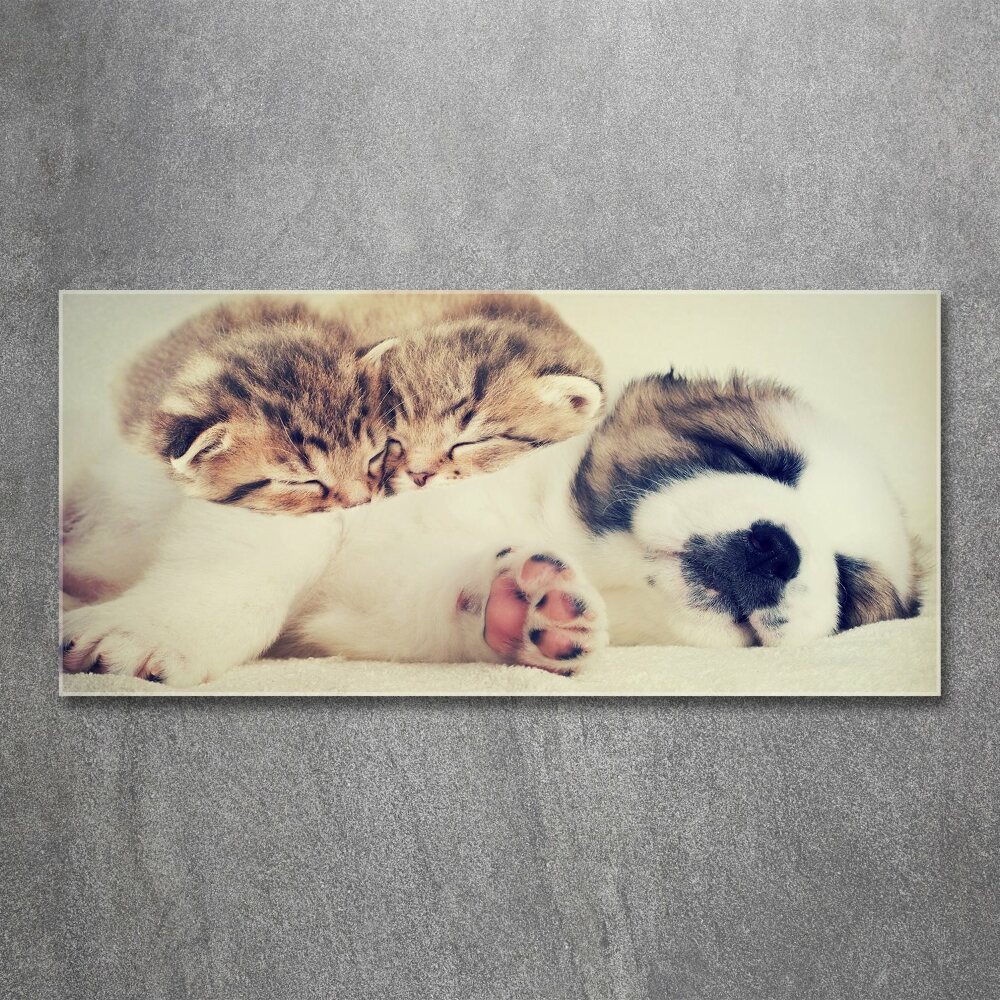 Acrylic print Two cats and a dog