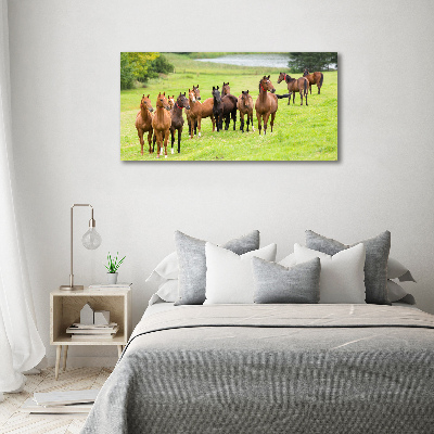 Acrylic print A herd of horses in the meadow