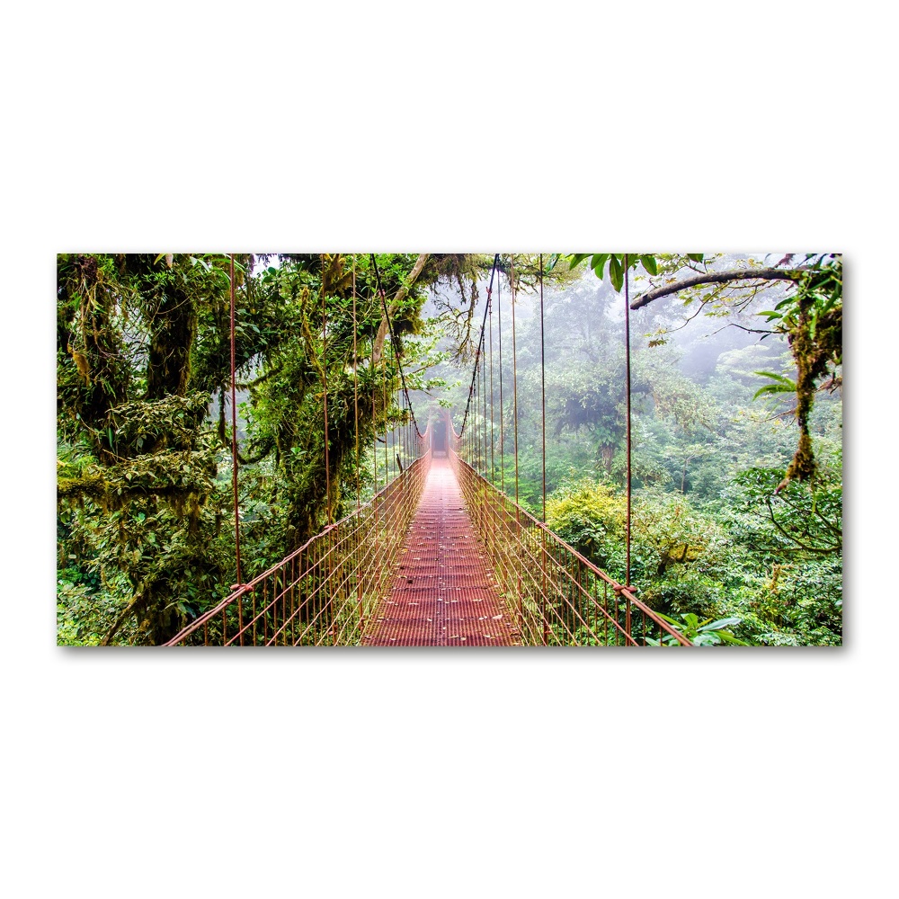 Wall art acrylic Bridge in the tropics