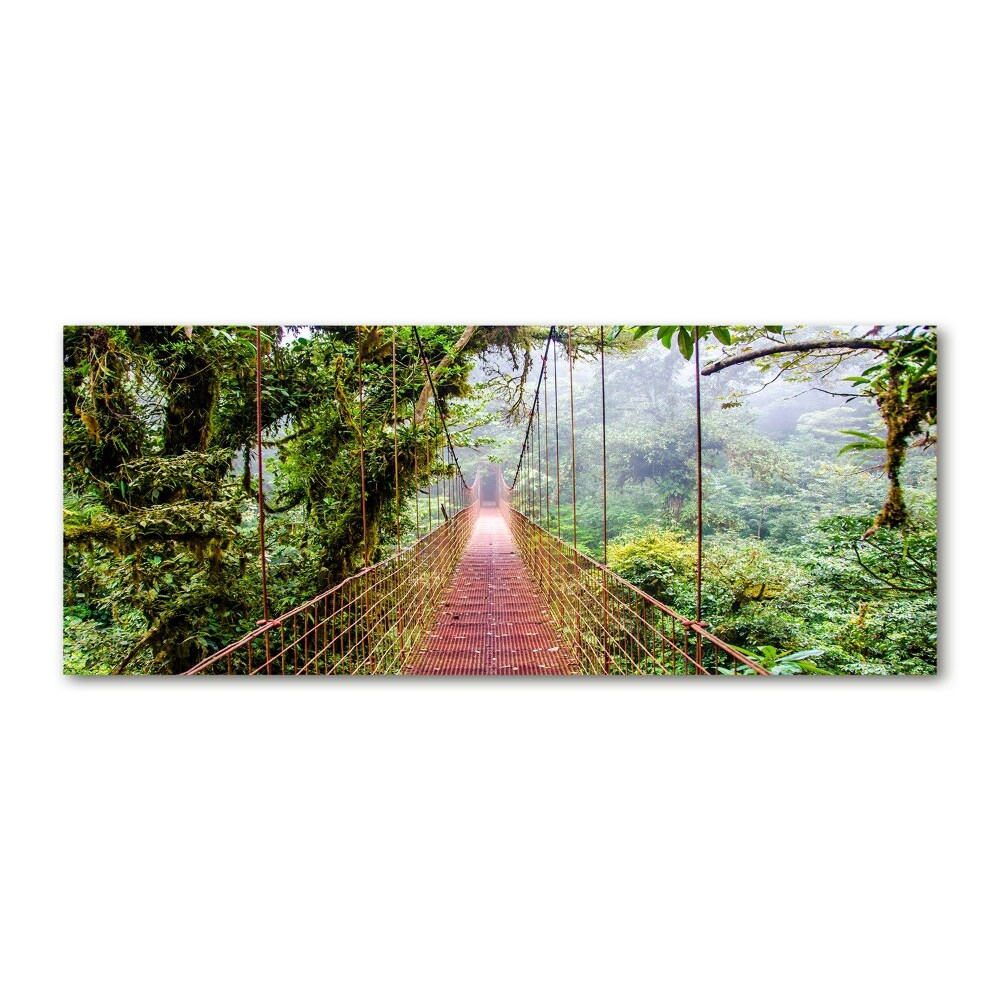 Wall art acrylic Bridge in the tropics