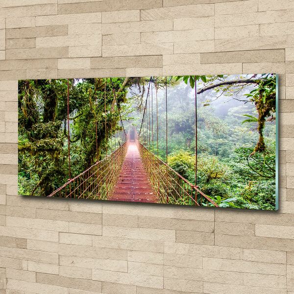 Wall art acrylic Bridge in the tropics