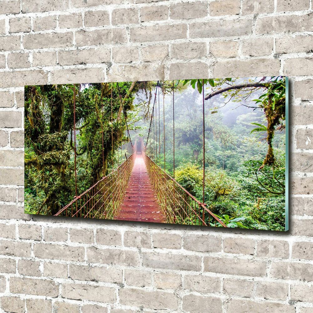 Wall art acrylic Bridge in the tropics