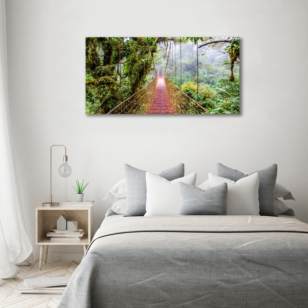 Wall art acrylic Bridge in the tropics