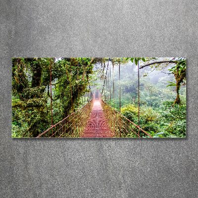 Wall art acrylic Bridge in the tropics