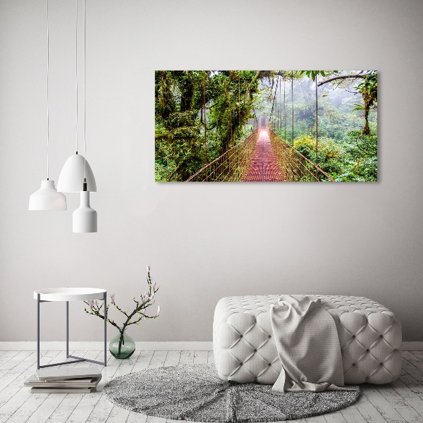 Wall art acrylic Bridge in the tropics