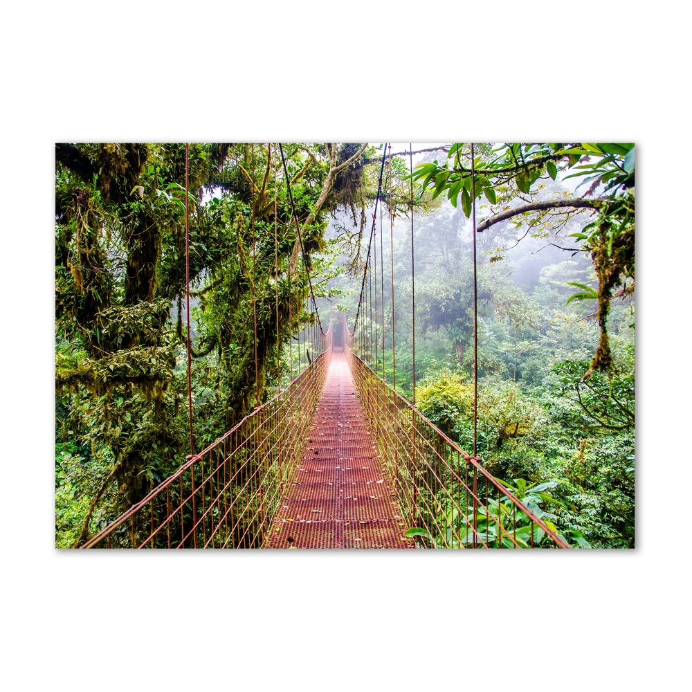 Wall art acrylic Bridge in the tropics