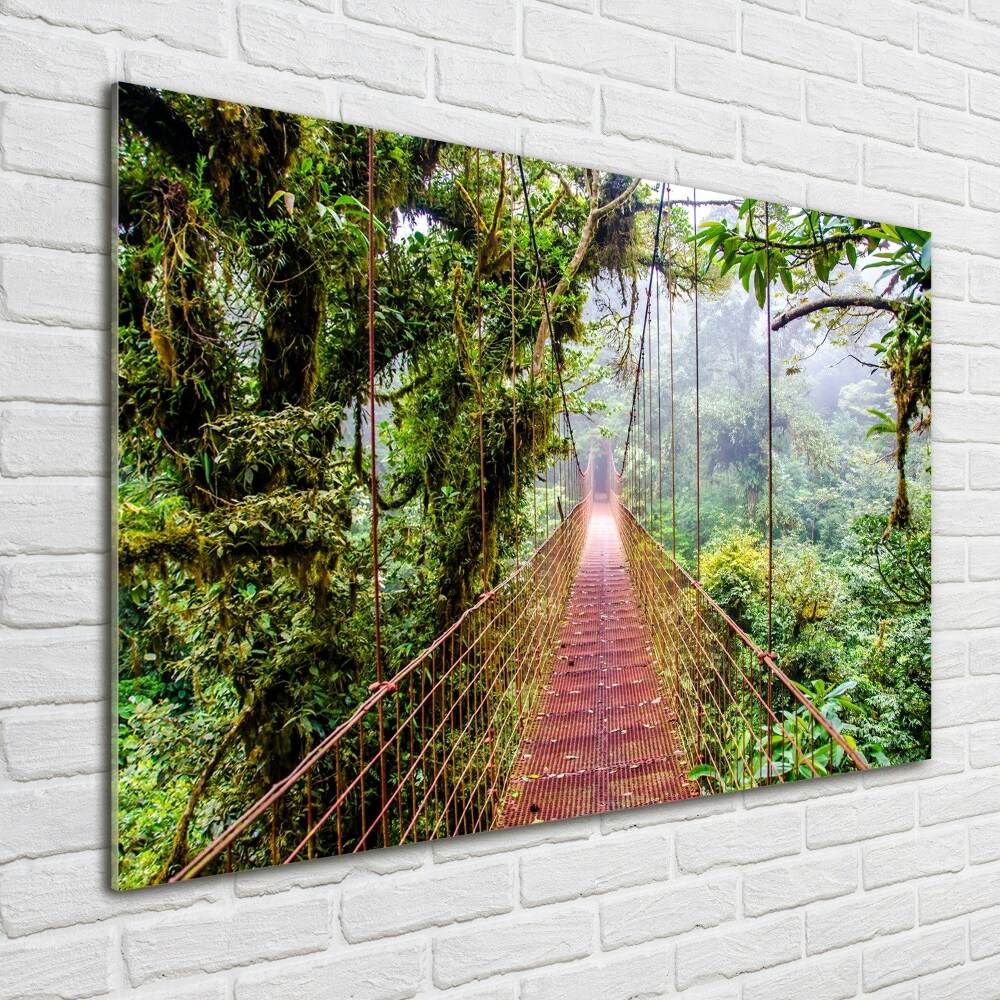 Wall art acrylic Bridge in the tropics