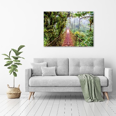 Wall art acrylic Bridge in the tropics