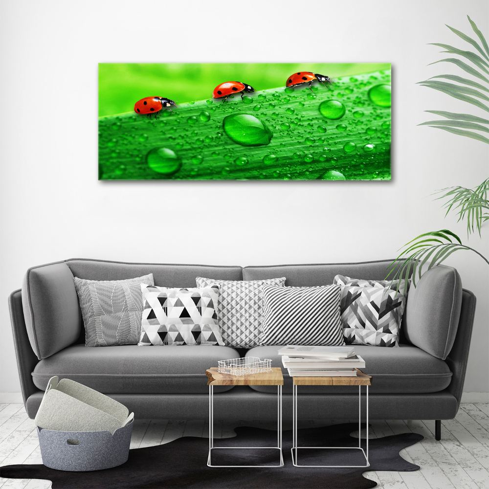 Print on acrylic Ladybugs on the grass