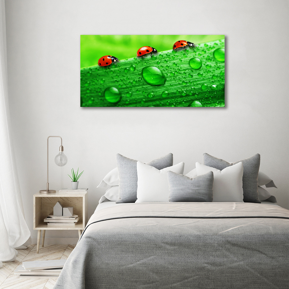 Print on acrylic Ladybugs on the grass