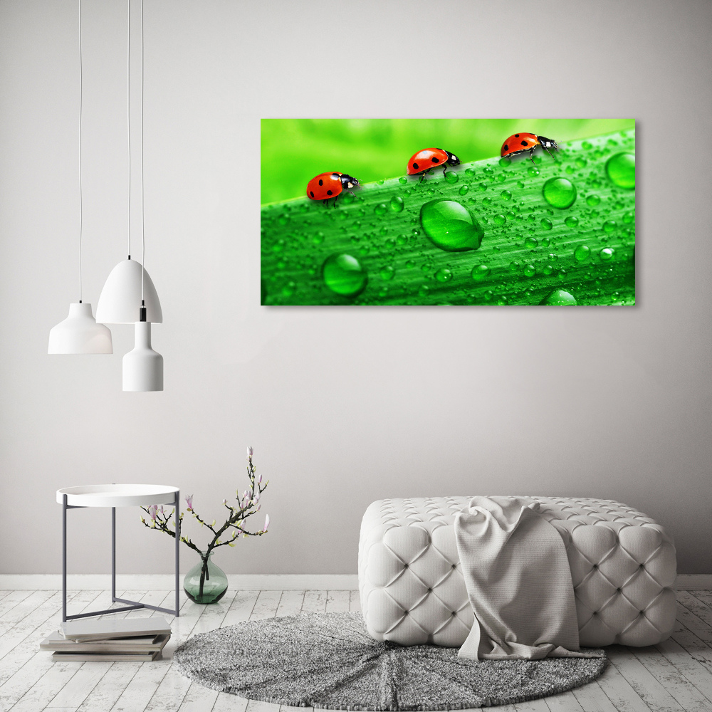 Print on acrylic Ladybugs on the grass