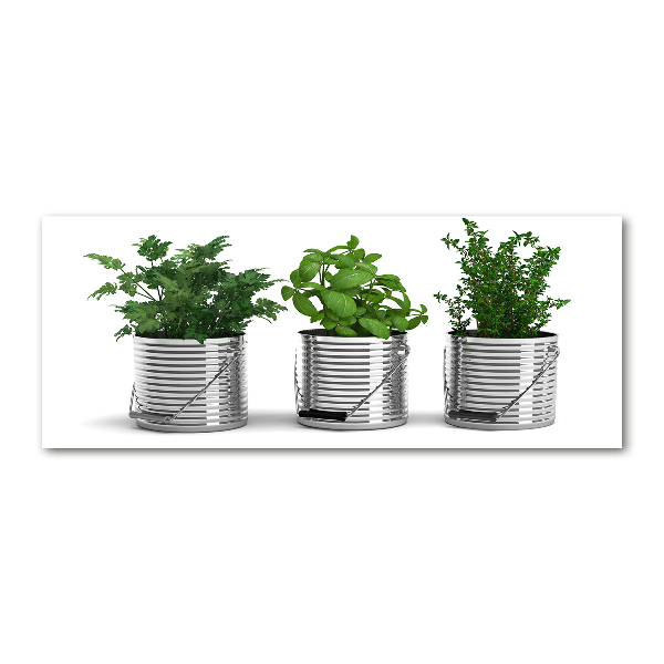 Acrylic wall art Aromatic plants