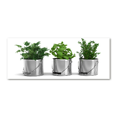 Acrylic wall art Aromatic plants