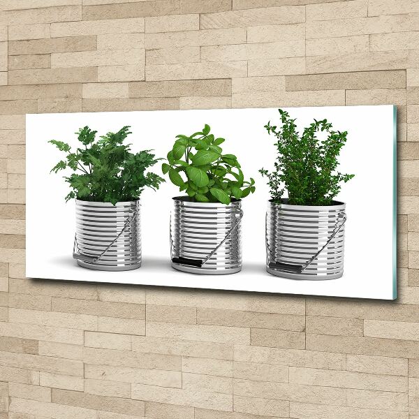 Acrylic wall art Aromatic plants