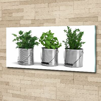 Acrylic wall art Aromatic plants