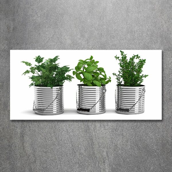 Acrylic wall art Aromatic plants