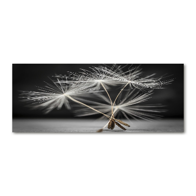 Print on acrylic Dandelion seeds