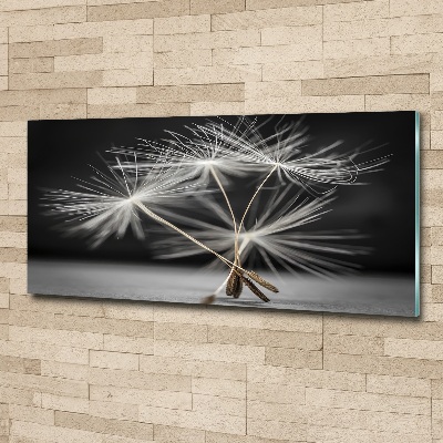 Print on acrylic Dandelion seeds