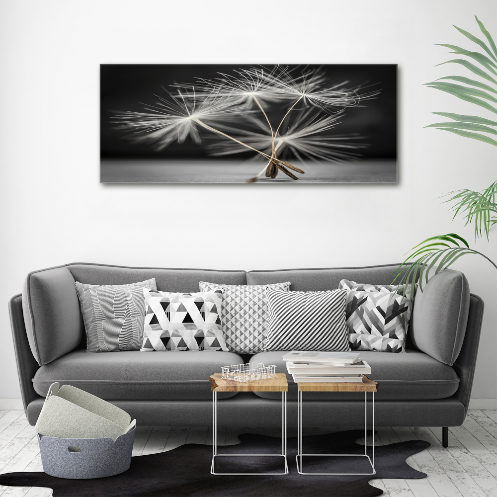 Print on acrylic Dandelion seeds