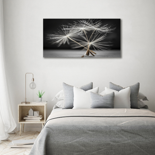 Print on acrylic Dandelion seeds