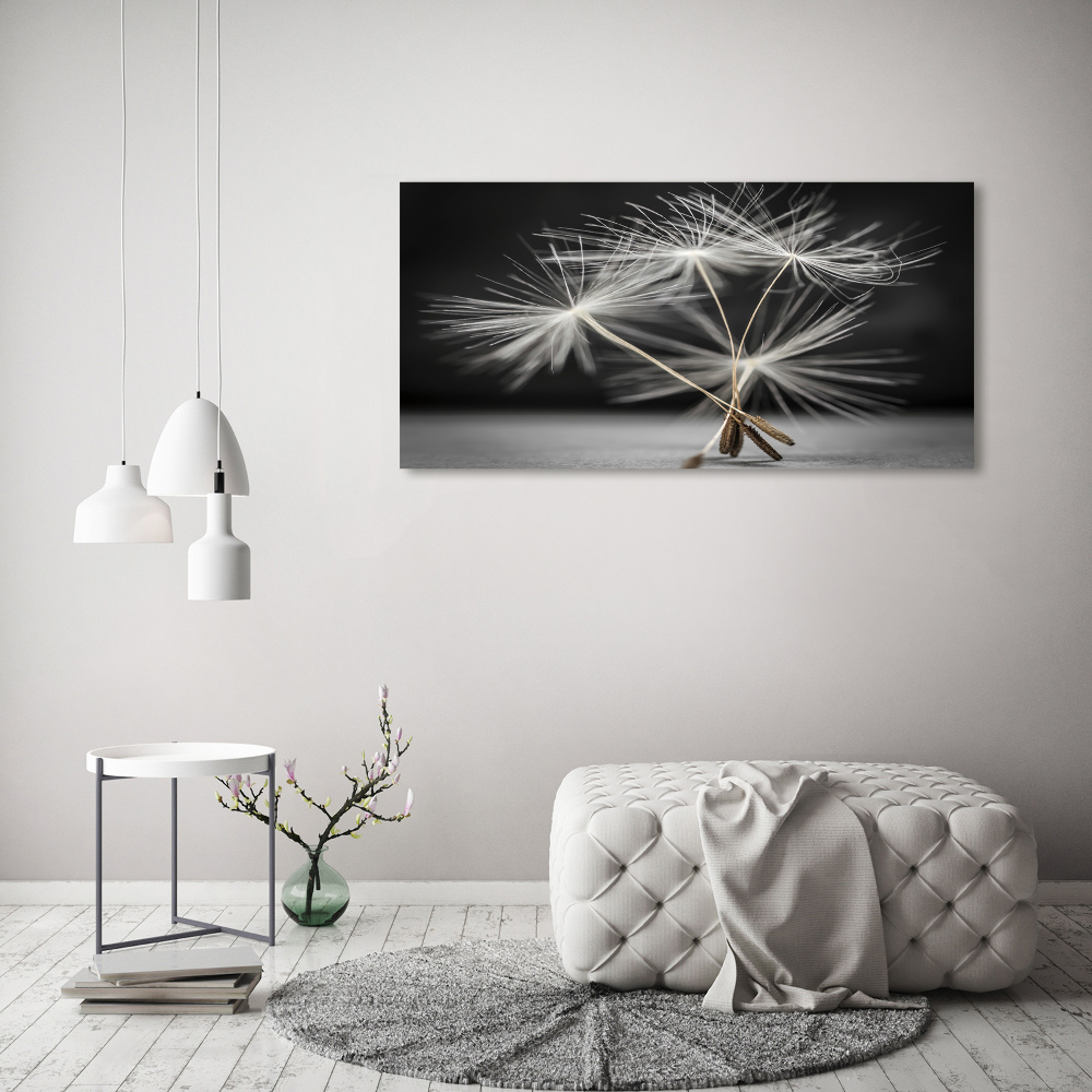 Print on acrylic Dandelion seeds