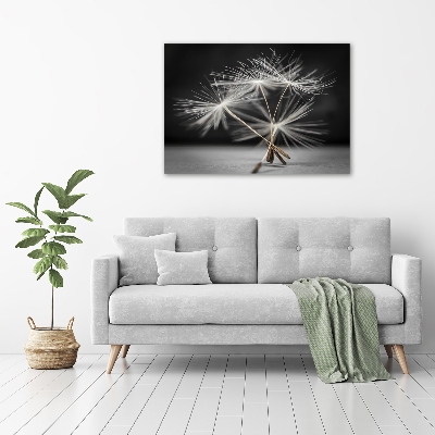 Print on acrylic Dandelion seeds