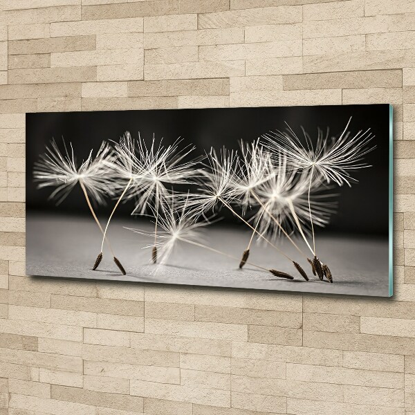 Print on acrylic Dandelion seeds