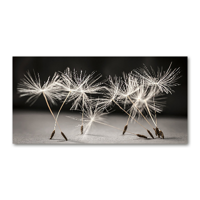 Print on acrylic Dandelion seeds