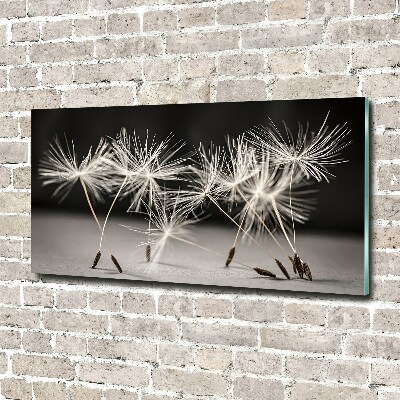 Print on acrylic Dandelion seeds