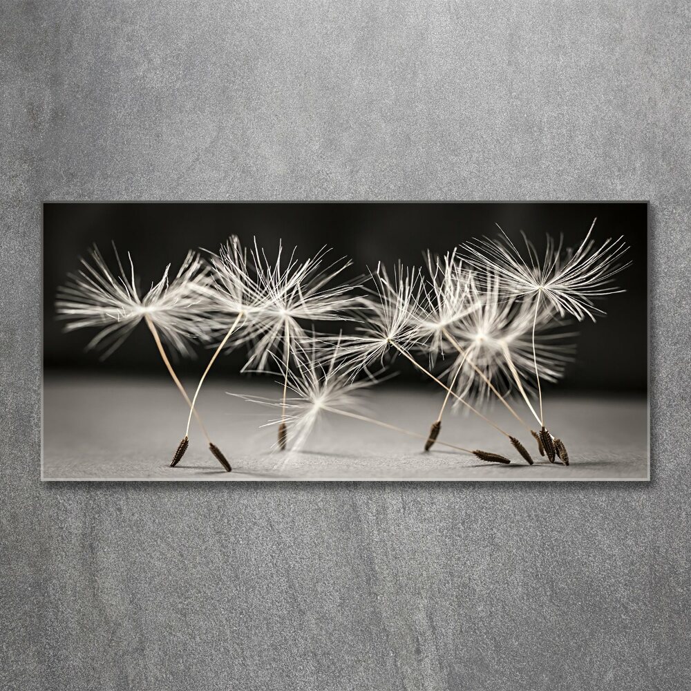 Print on acrylic Dandelion seeds