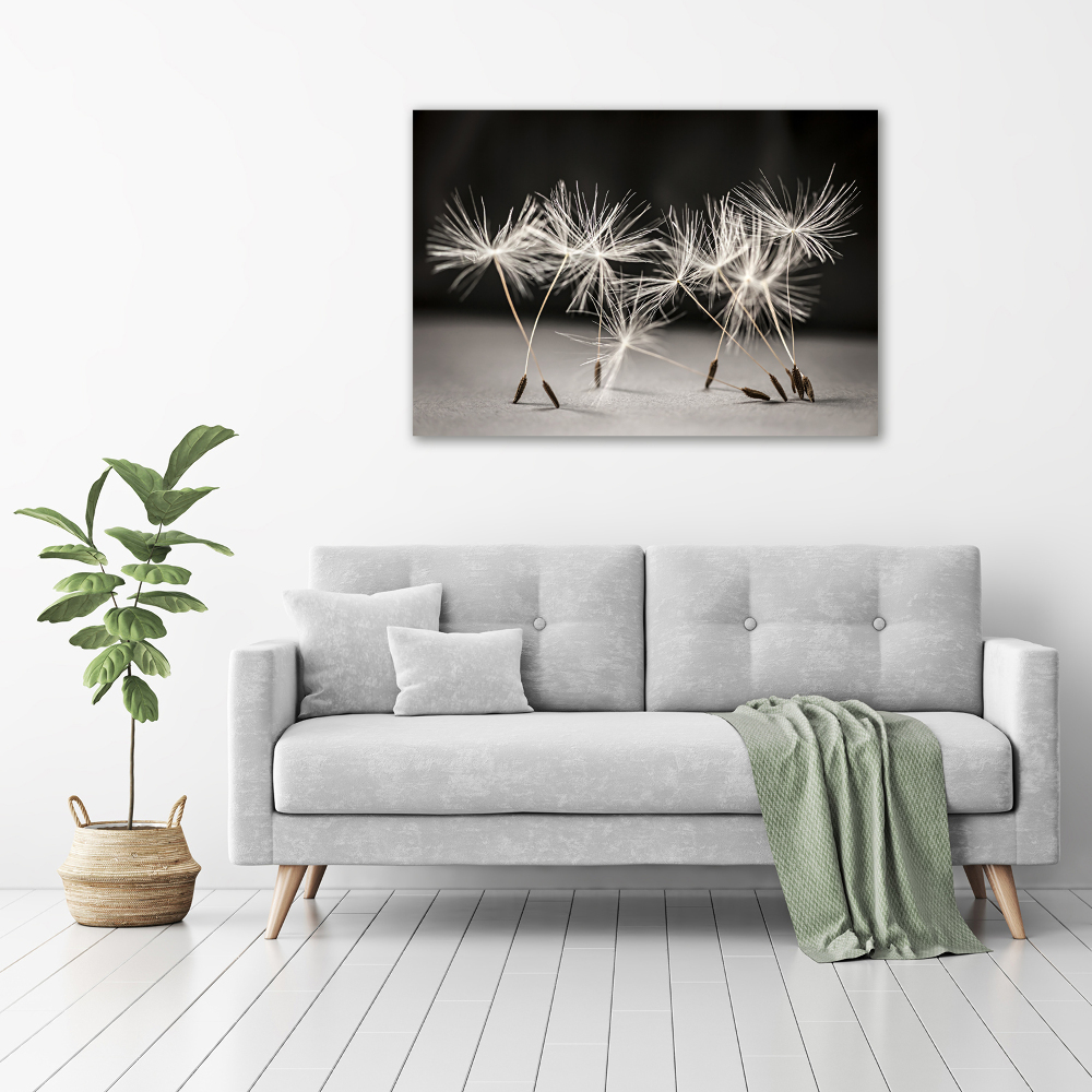 Print on acrylic Dandelion seeds