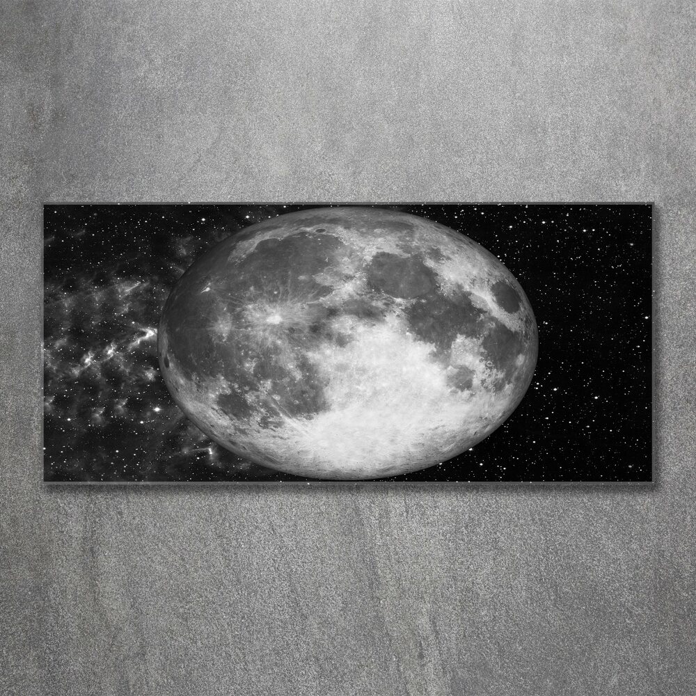 Acrylic wall picture Moon