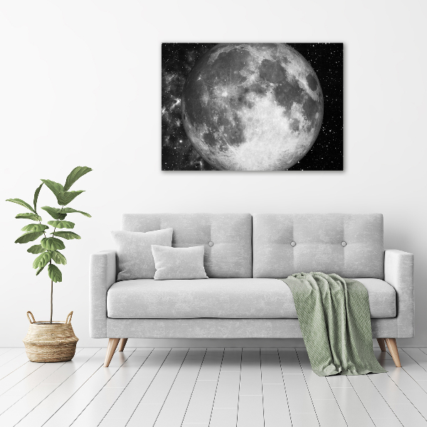 Acrylic wall picture Moon