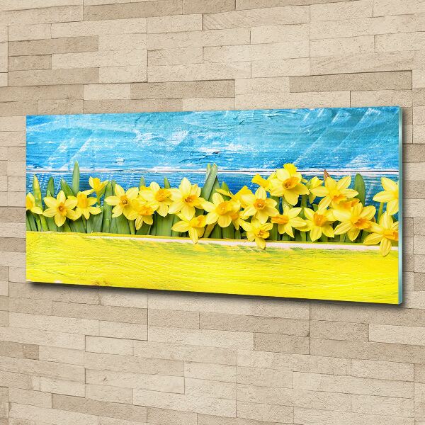 Acrylic wall art Daffodil