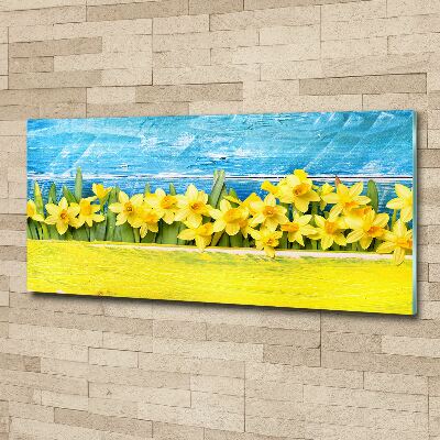 Acrylic wall art Daffodil